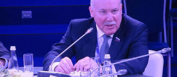 專家：“一帶一路”項目不會引發適得其反的競爭 - 俄羅斯衛星通訊社