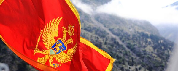 俄前名誉领事：俄10年间向黑山投入45亿欧元 - 俄罗斯卫星通讯社