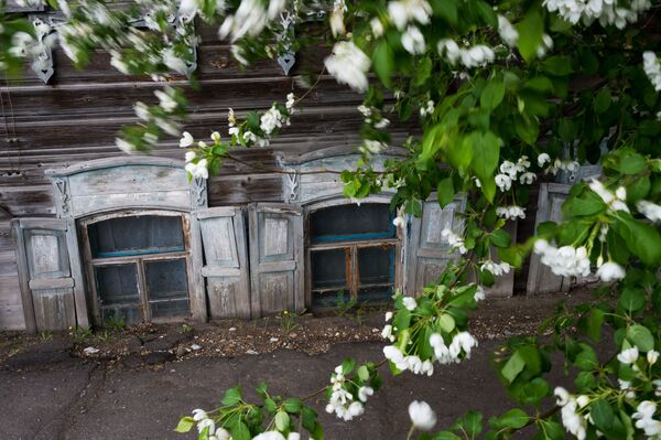 塔拉市內開花的蘋果樹 - 俄羅斯衛星通訊社
