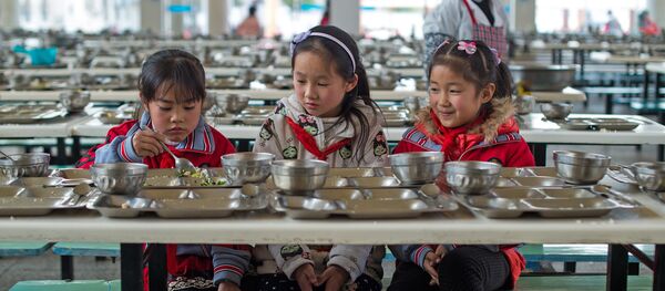 中国贫困地区中小学生的营养状况变得更好 - 俄罗斯卫星通讯社