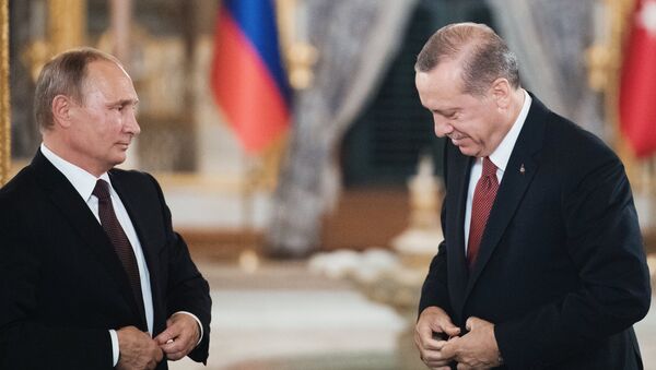 俄總統普京和土耳其總統埃爾多安 - 俄羅斯衛星通訊社