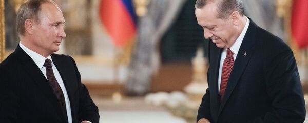 俄總統普京和土耳其總統埃爾多安 - 俄羅斯衛星通訊社