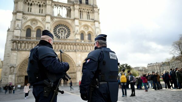 警方在巴黎聖母院旁進行特別行動 - 俄羅斯衛星通訊社