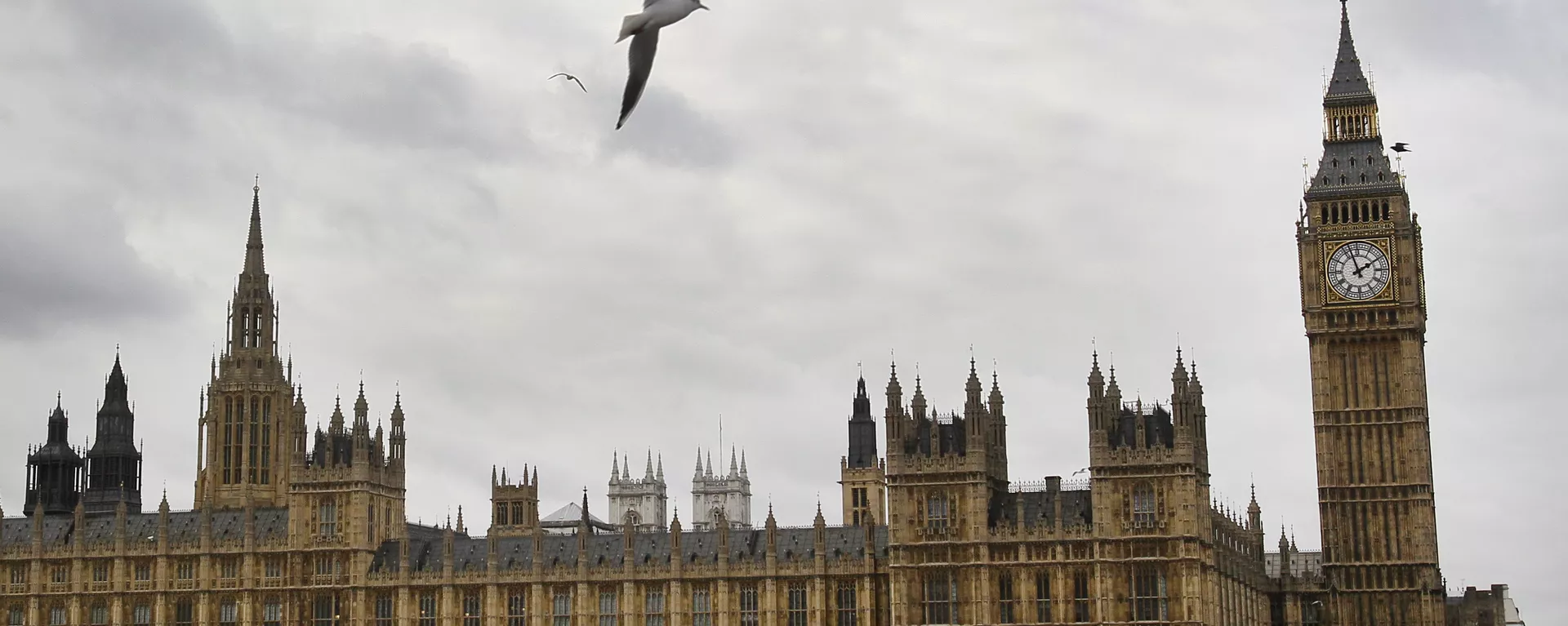 英國議會老鼠太多動物收容所不想送貓去那裡 - 俄羅斯衛星通訊社, 1920, 13.08.2023