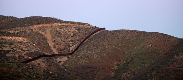 美墨边境墙 - 俄罗斯卫星通讯社