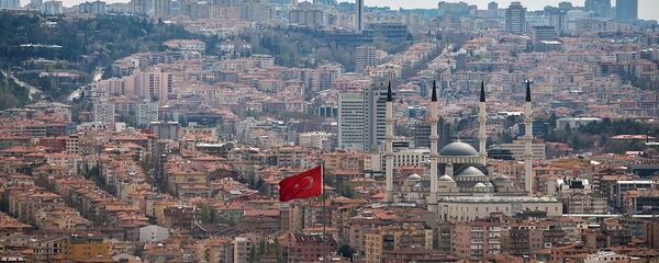 安卡拉 - 俄罗斯卫星通讯社