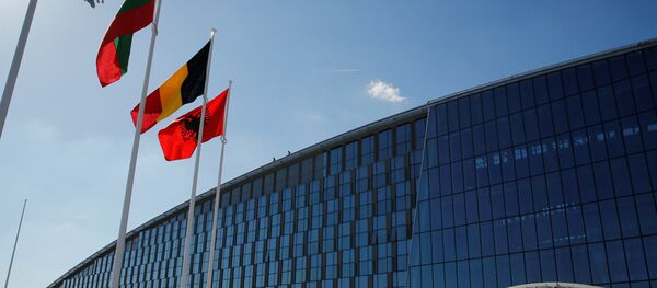 乌克兰总统泽连斯基：乌克兰一定会加入北约 但要先举行公投 - 俄罗斯卫星通讯社