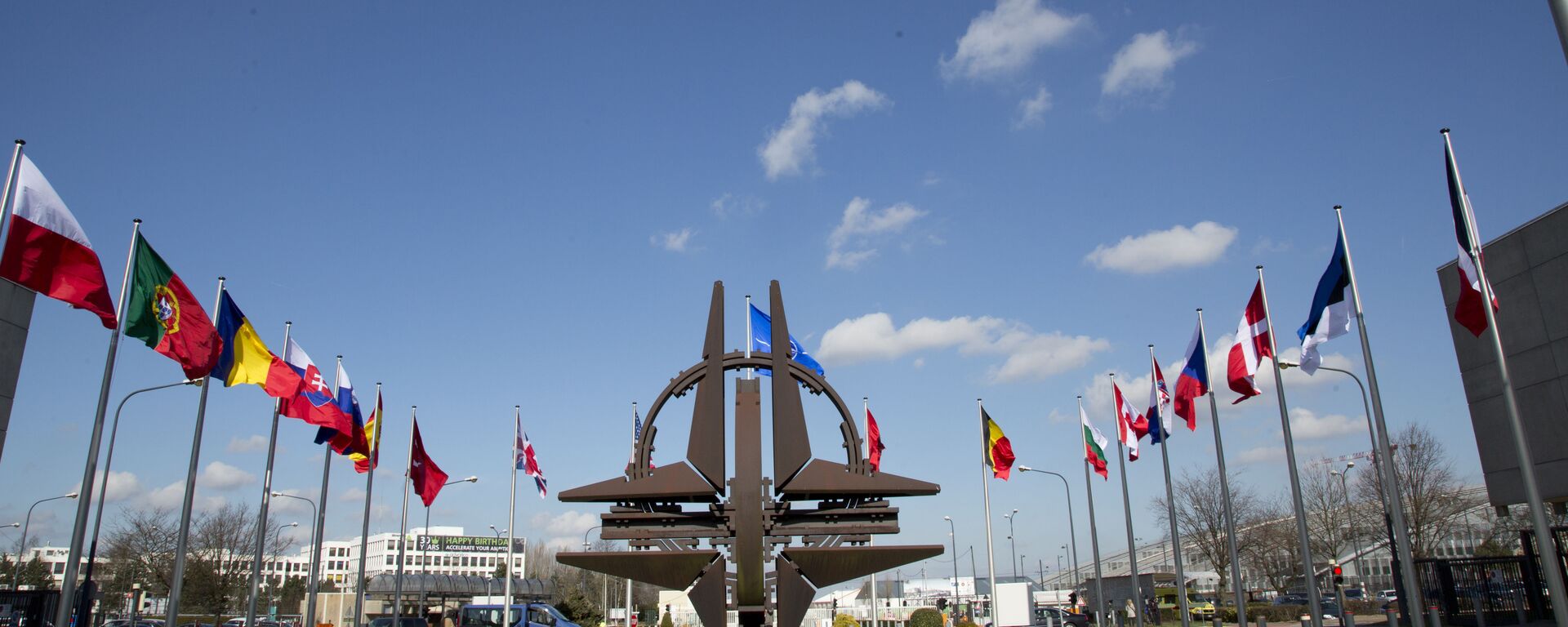 媒體：北約向其成員國施壓要求加入PURL倡議 - 俄羅斯衛星通訊社, 1920, 16.10.2025