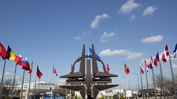 NATO symbol and flags of the NATO nations - 俄罗斯卫星通讯社
