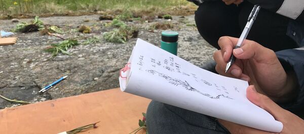 “戈格兰岛-2017”俄中联合生态探险队 “戈格兰岛-2017”俄中联合生态探险队 - 俄罗斯卫星通讯社