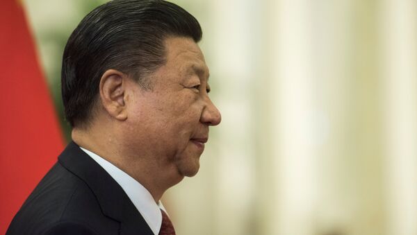 China's President Xi Jinping - 俄羅斯衛星通訊社