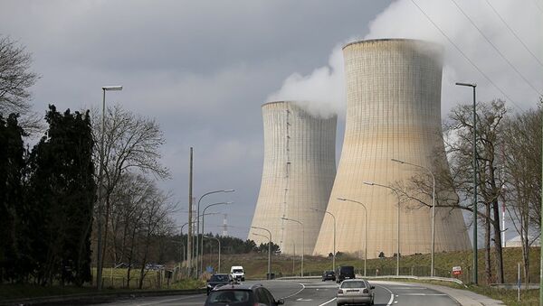 比利时核电站 - 俄罗斯卫星通讯社