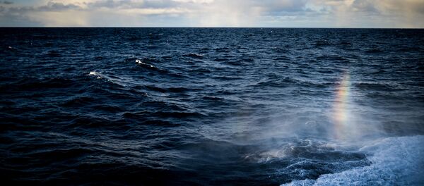 Баренцево море - 俄罗斯卫星通讯社