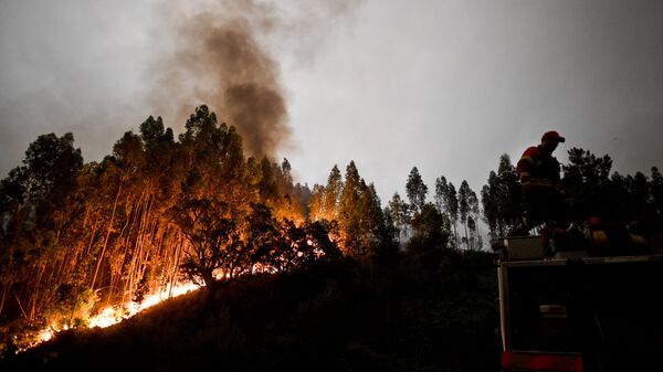 葡萄牙遭遇嚴重森林火災出動近1700名消防員參與滅火 - 俄羅斯衛星通訊社