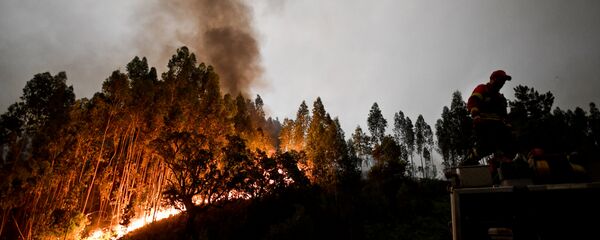 葡萄牙森林火災 - 俄羅斯衛星通訊社