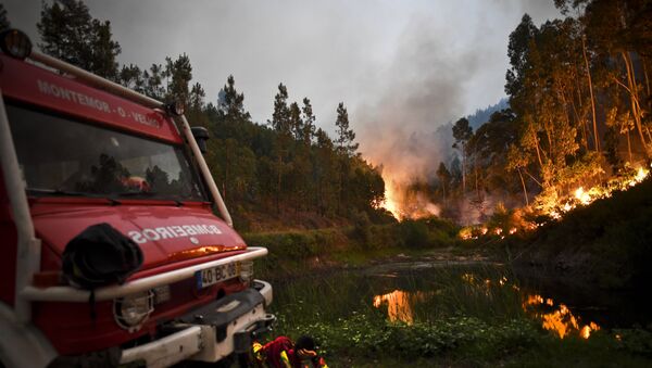 葡萄牙森林火災 - 俄羅斯衛星通訊社