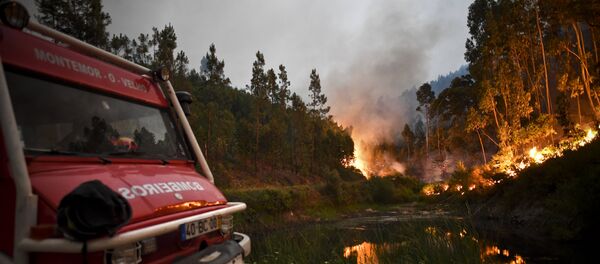 葡萄牙森林火災 - 俄羅斯衛星通訊社