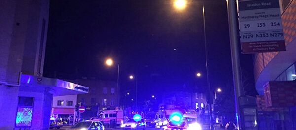 英國穆斯林委員會：倫敦撞人貨車司機受仇伊情緒驅使 - 俄羅斯衛星通訊社