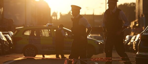 伦敦警察 - 俄罗斯卫星通讯社