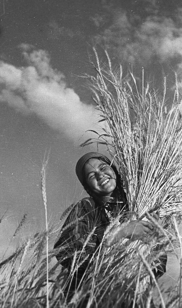 在地里收庄稼，土库曼苏维埃社会主义共和国，1939年 - 俄罗斯卫星通讯社