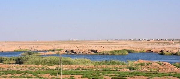 拉卡 - 俄罗斯卫星通讯社