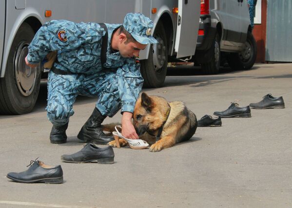 訓犬員和警犬是一個團隊，不斷完善自己的專業技能。 - 俄羅斯衛星通訊社