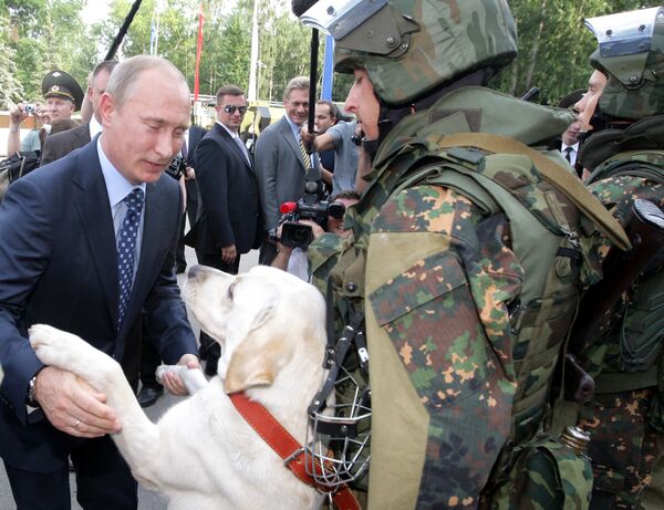 1909年6月21日，圣彼得堡开设了第一家警犬养殖场。 - 俄罗斯卫星通讯社