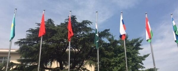 上合组织成员国近3年来挫败550起涉恐和极端主义犯罪 上合组织成员国近3年来挫败550起涉恐和极端主义犯罪 - 俄罗斯卫星通讯社