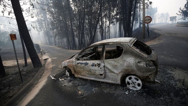 葡萄牙中部大火被撲滅 - 俄羅斯衛星通訊社