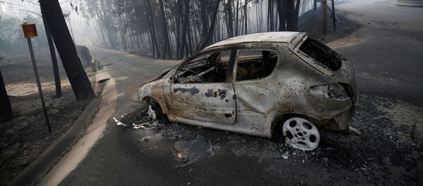 葡萄牙中部大火被扑灭 - 俄罗斯卫星通讯社
