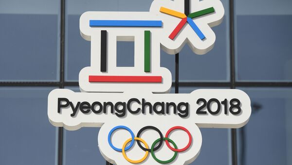 韓國向朝鮮提議在2018年冬奧會開幕式上共同組隊 - 俄羅斯衛星通訊社