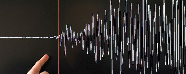 地震仪 - 俄罗斯卫星通讯社