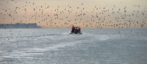 俄罗斯紧急情况部搜救行动，阿尔图尔·列别捷夫，俄罗斯。 图为：2016年年底，俄紧急情况部救援人员在索契图-154飞机坠毁地点实施搜救行动。 - 俄罗斯卫星通讯社