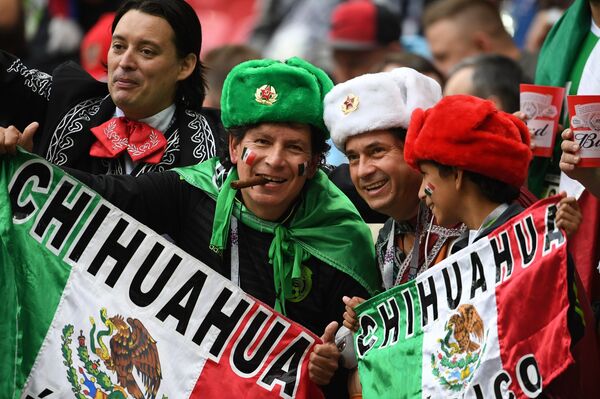 墨西哥足球迷 - 俄罗斯卫星通讯社