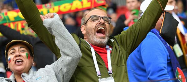 足球世界杯球迷可在2017年底至2018年初预定免费火车票 - 俄罗斯卫星通讯社