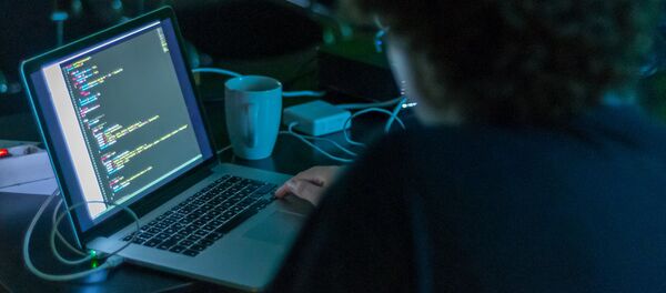 普京： IT公司应使用国产软件 - 俄罗斯卫星通讯社