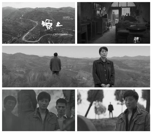 塬上 - 俄羅斯衛星通訊社