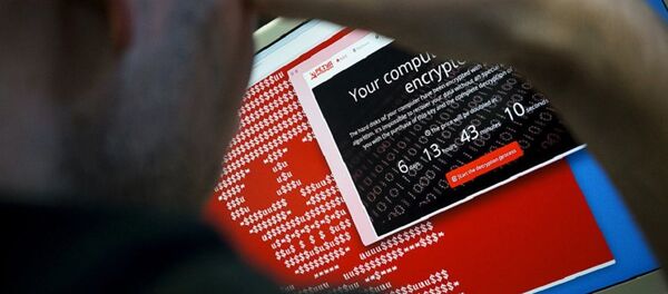 Petya电脑病毒 - 俄罗斯卫星通讯社