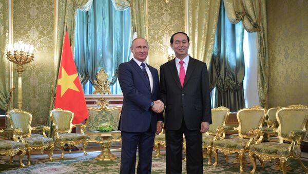 普京向越南國家主席建議2019年互辦國家年 - 俄羅斯衛星通訊社