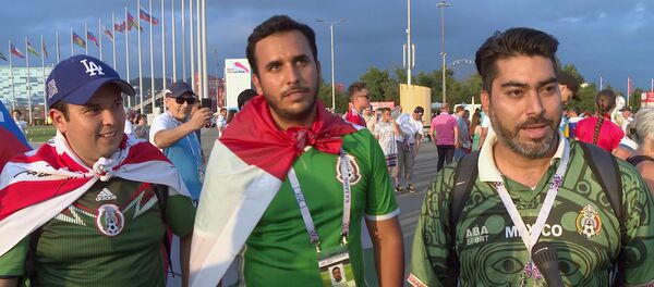 2018年世界杯免费车票的预订已经开始 - 俄罗斯卫星通讯社