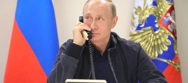 普京與巴林國王討論了去年9月在莫斯科會談期間達成協議的實施情況 - 俄羅斯衛星通訊社