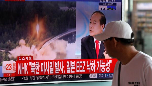韩国敦促朝鲜停止挑衅并愿意进行对话 - 俄罗斯卫星通讯社