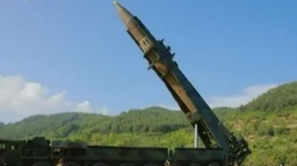 朝鲜向日本海发射多枚巡航导弹  - 俄罗斯卫星通讯社