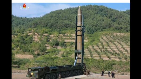 日文部大臣：日本擬就停止核導試驗問題向朝鮮施壓 - 俄羅斯衛星通訊社