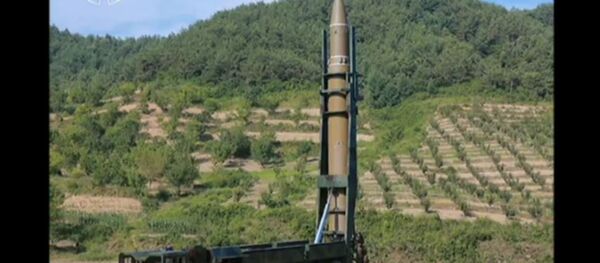 日文部大臣：日本拟就停止核导试验问题向朝鲜施压 - 俄罗斯卫星通讯社