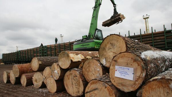 2017年俄罗斯对华木材出口量上涨 - 俄罗斯卫星通讯社