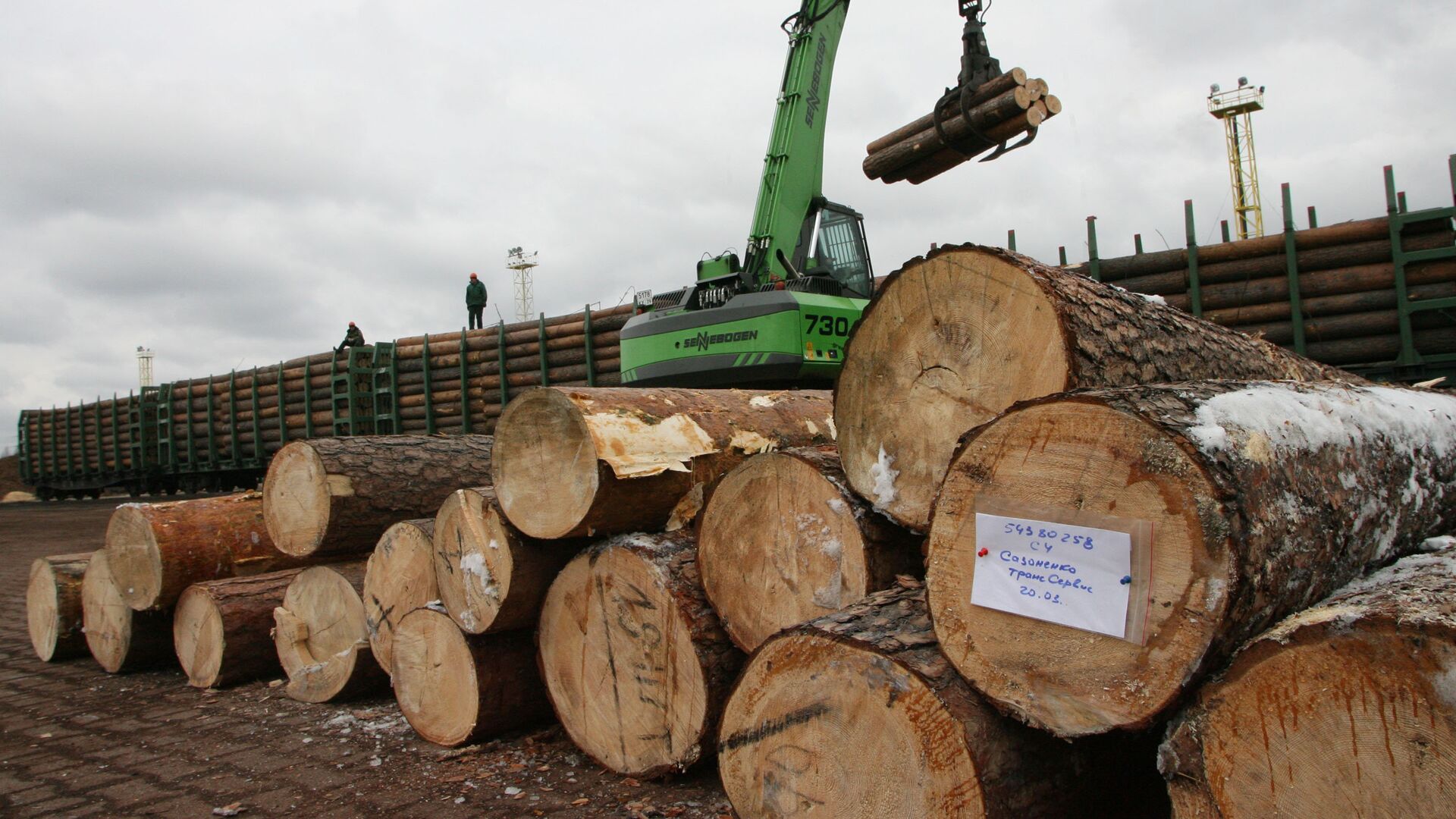 2022年俄罗斯对中国的原木和木料出口量下降 - 俄罗斯卫星通讯社, 1920, 27.01.2023