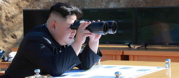 金正恩 - 俄罗斯卫星通讯社