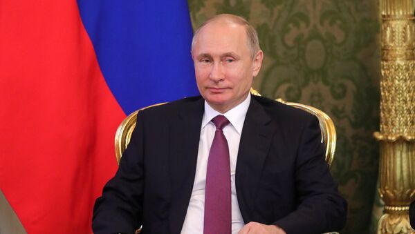 普京：俄欢迎扩大G20议事范围 - 俄罗斯卫星通讯社