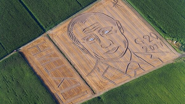 衛星航拍到意大利農夫在小麥地中創作的俄總統普京肖像 - 俄羅斯衛星通訊社